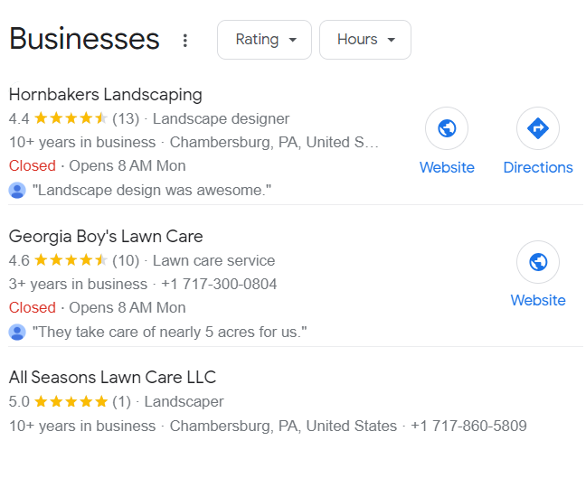 google my business listings serp