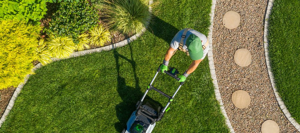 landscaper who has a new website